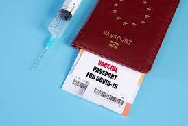 Naomi Wolf: Vaccine Passports are “End of Human Liberty.”