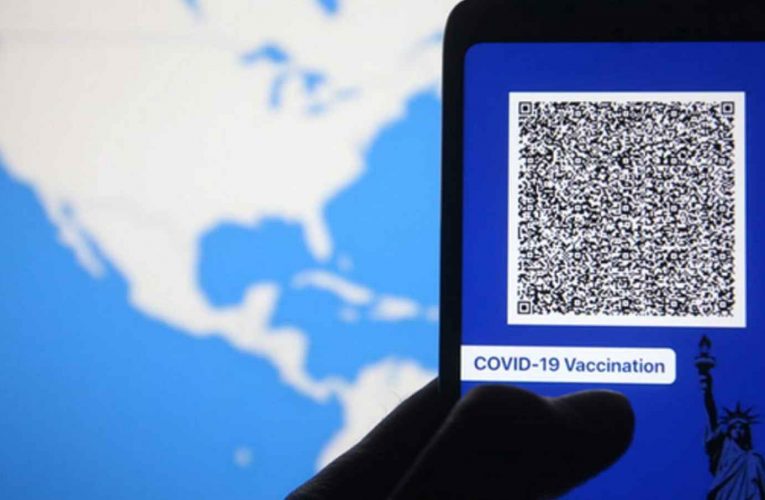 Vaccination Passports: The Cornerstone of a Totalitarian State