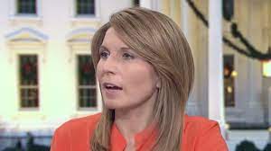 Nicolle Wallace Urges Dems: Make Republican ‘Domestic Terror Threat’ Your Midterm Theme
