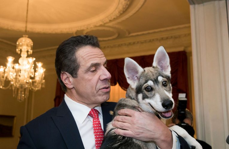Cuomo Abandons His Dog Captain at Mansion after Departing Office.